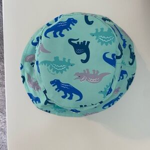 Green and Blue Dinosaur Print Hat Accessories
